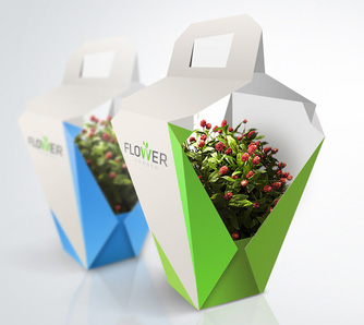 美丽的鲜花包装设计---------------