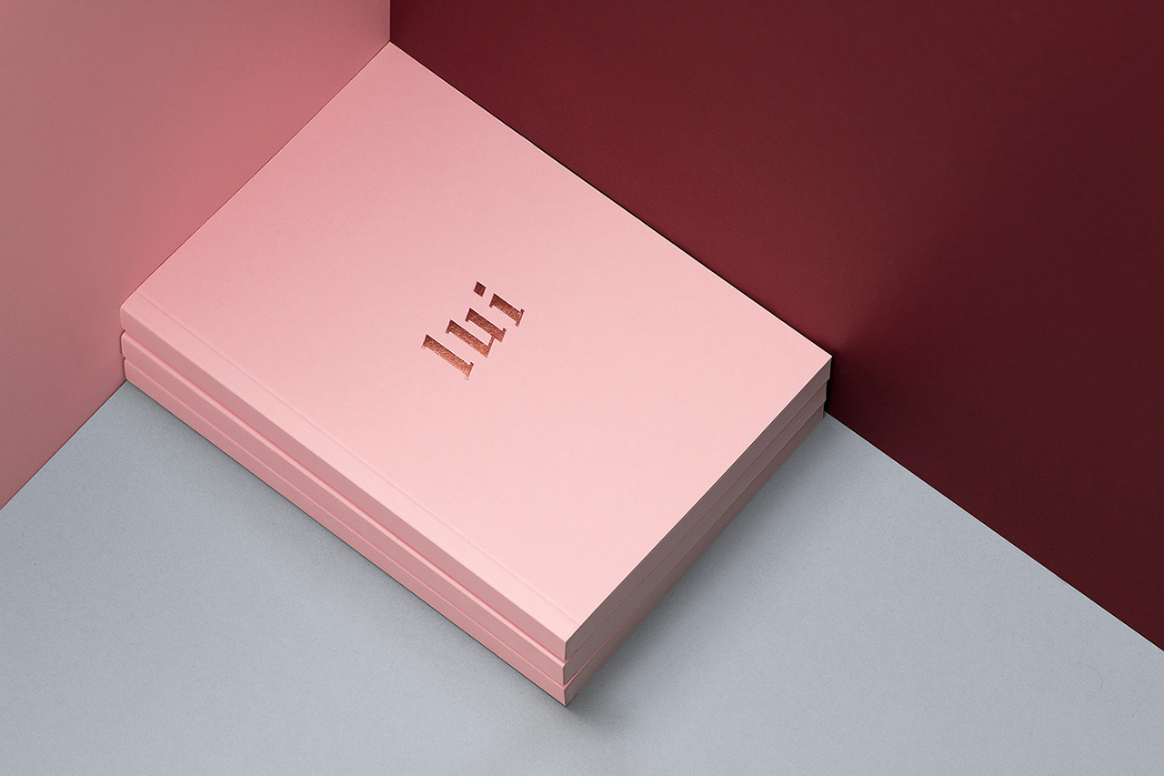 Lui新概念店品牌VI设计