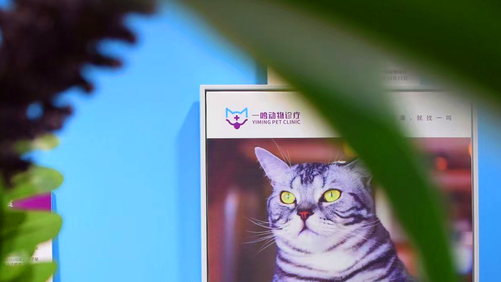 【智奥设计】一鸣动物诊疗：品牌VI设计